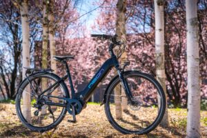 ROWER ELEKTRYCZNY NEON VIVID