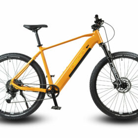 ROWER ELEKTRYCZNY NEON BEAM 2.0