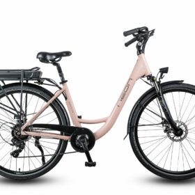 ROWER ELEKTRYCZNY NEON RAYA 1.0