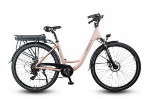 ROWER ELEKTRYCZNY NEON RAYA 1.0