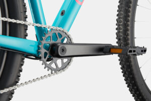 Cannondale Trail 2