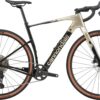 Cannondale Topstone Carbon 4 (Platinum)
