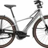 CANNONDALE FLYINGV 1 (C64125U10/SLV)