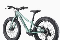 CANNONDALE KIDS TRAIL PLUS 20" (C5203GU20/CTG) CANNONDALE KIDS TRAIL PLUS 20" (C5203GU20/CTG)