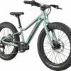 CANNONDALE KIDS TRAIL PLUS 20" (C5203GU20/CTG)