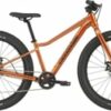 CANNONDALE KIDS TRAIL PLUS 24" (C5202GU10/FOR) 5 CANNONDALE KIDS TRAIL PLUS 24" (C5202GU10/FOR)