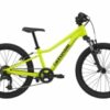 CANNONDALE TRAIL 20" (C51652U10/VLT)