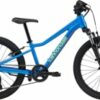 CANNONDALE TRAIL 20" (C51652U30/ELB)