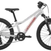 CANNONDALE TRAIL 20" (C5217GU20/SLV)